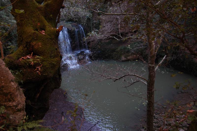 Incontro di Natura Mediterraneo a Roma (FOTO e VIDEO)