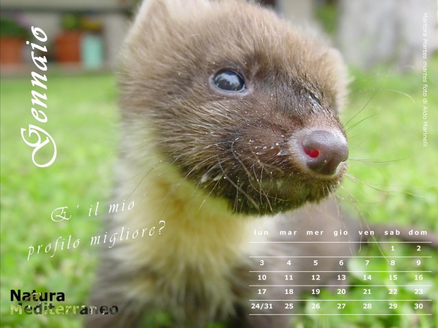 Calendario NaturaMediterraneo 2011