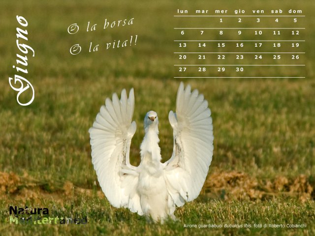 Calendario NaturaMediterraneo 2011