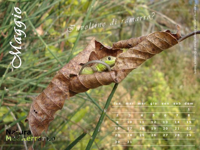 Calendario NaturaMediterraneo 2011