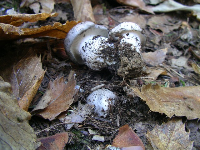 Era ora...finalmente!