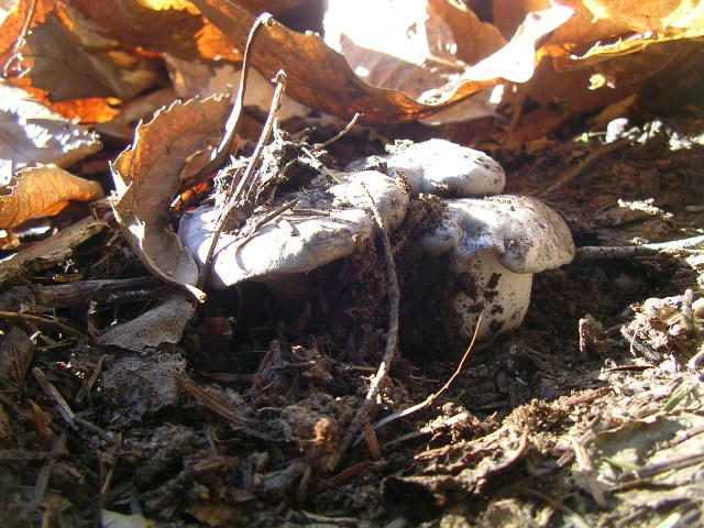 Era ora...finalmente!