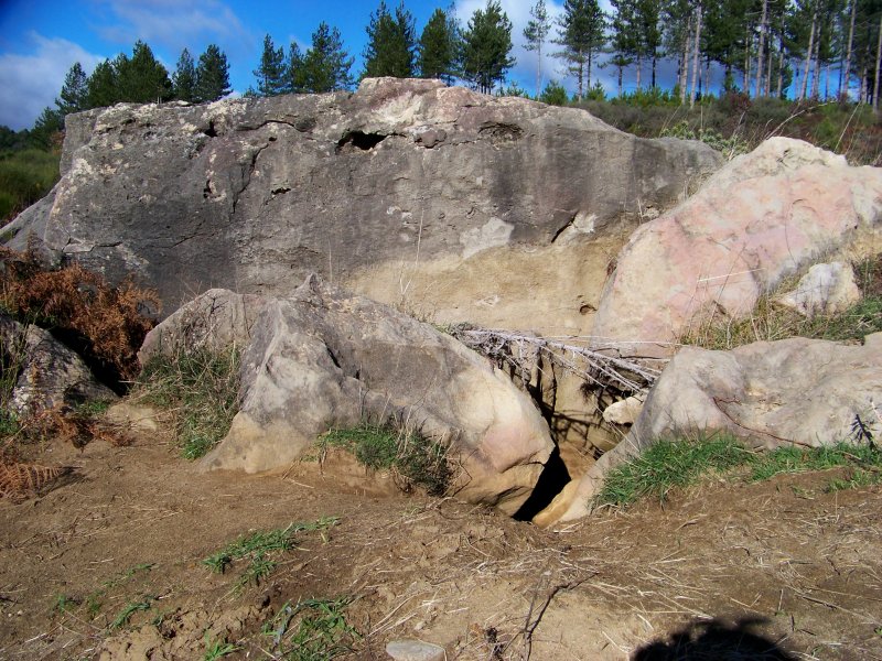 Orme e tana di cinghiale