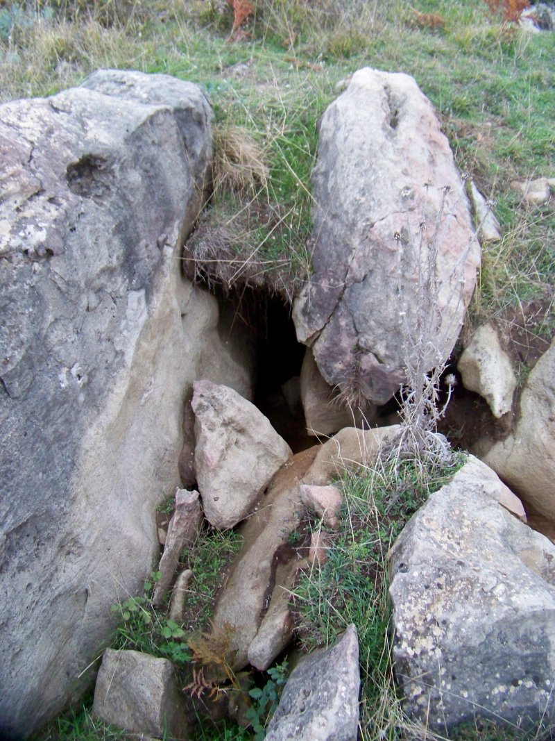 Orme e tana di cinghiale