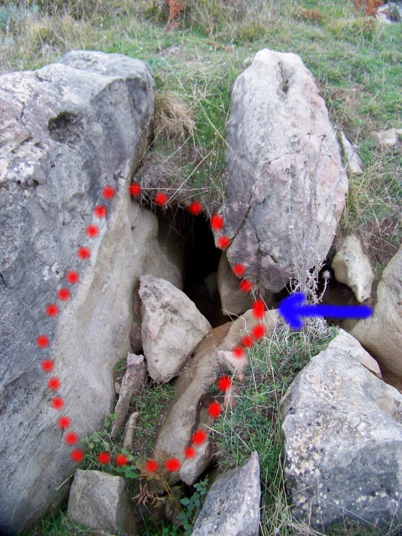 Orme e tana di cinghiale