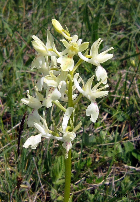 Escursione in Valdichiana 1