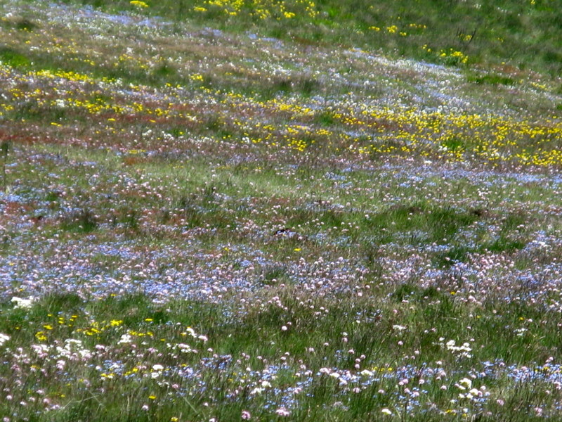 Salita sul Monte Vettore (2476 m)