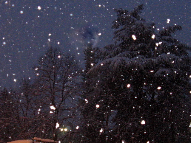Firenze sotto la neve!