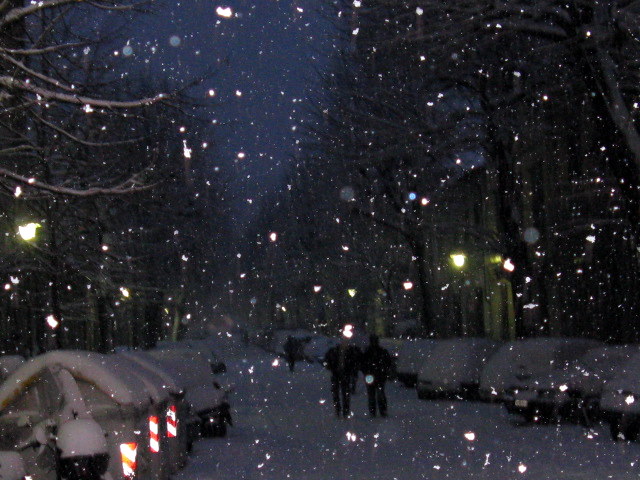Firenze sotto la neve!