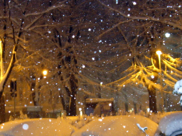 Firenze sotto la neve!