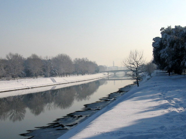 Firenze sotto la neve!
