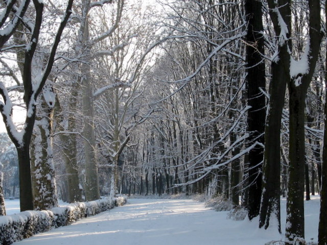 Firenze sotto la neve!