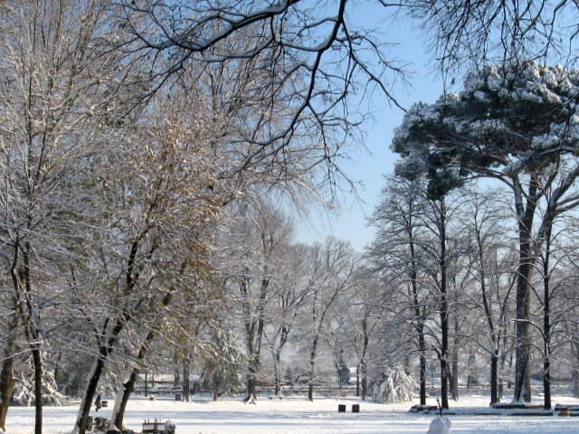 Firenze sotto la neve!