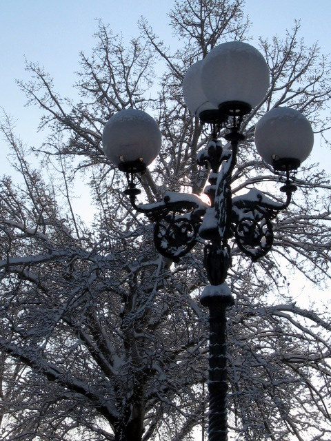 Firenze sotto la neve!