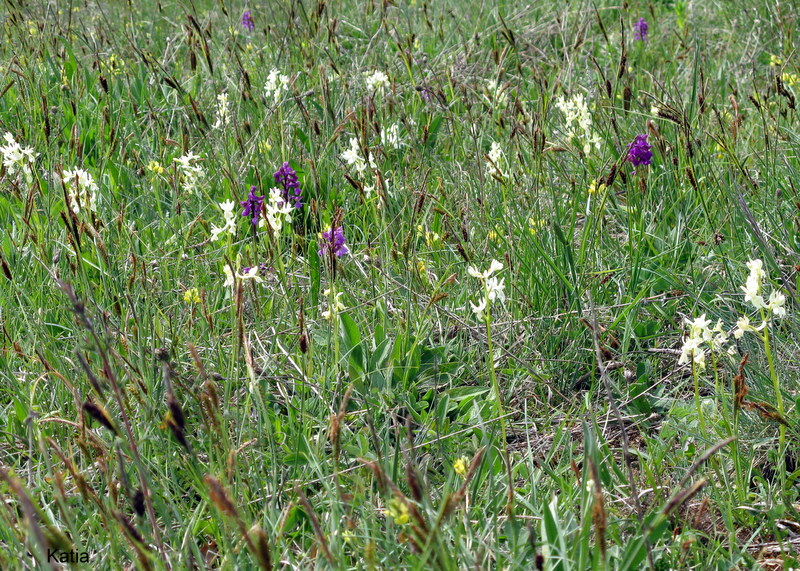 Escursione in Valdichiana 1