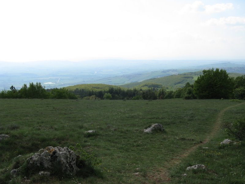 Escursione in Valdichiana 1