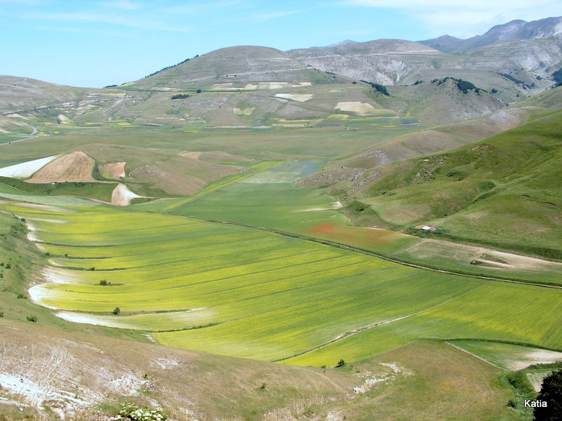 Le spettacolari fioriture di Castelluccio di Norcia