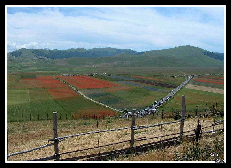 Le spettacolari fioriture di Castelluccio di Norcia