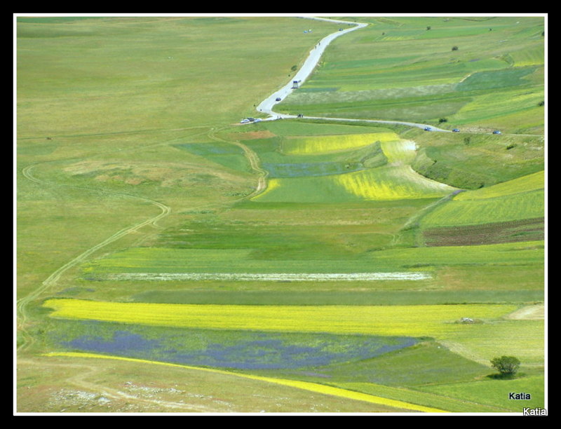 Le spettacolari fioriture di Castelluccio di Norcia