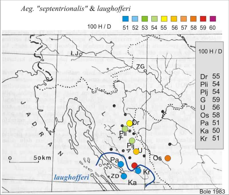 Aegopis septentrionalis ed Aegopis croaticus