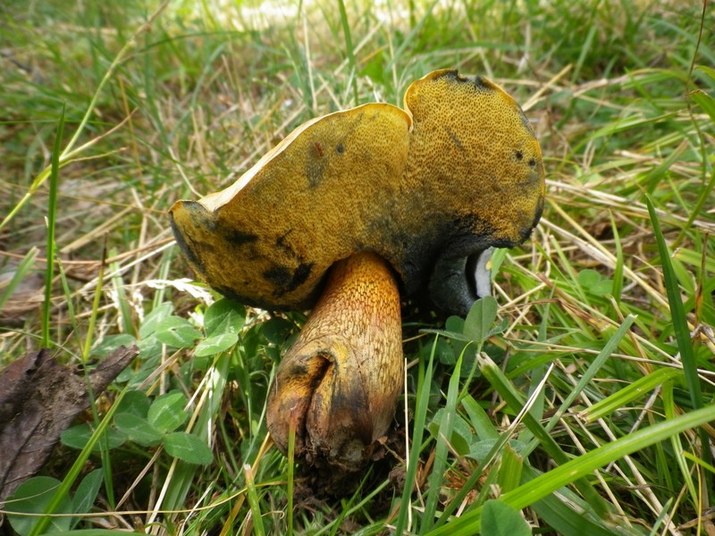 Ferragosto in famiglia
