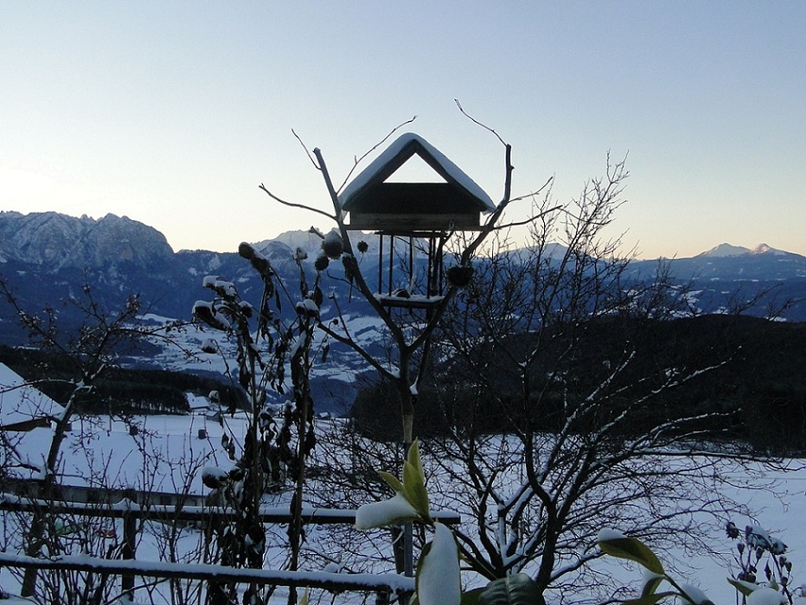 dalla finestra di casa...