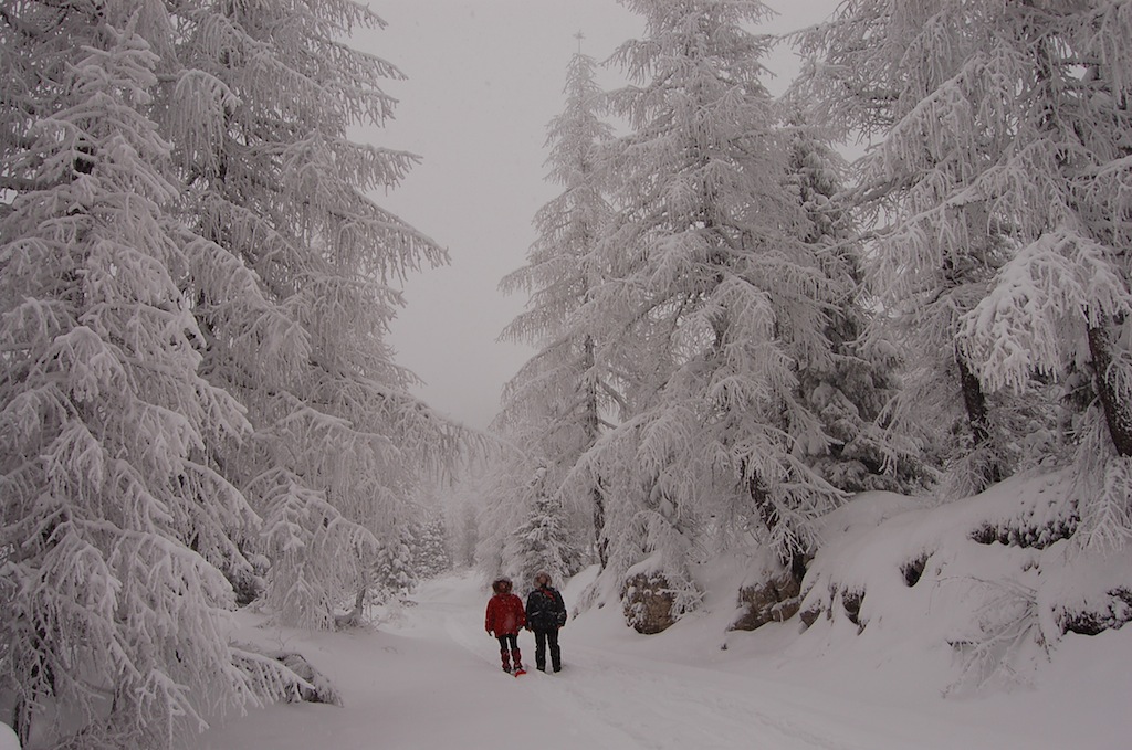 Altopiano di Asiago