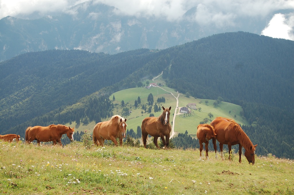 Altopiano di Asiago