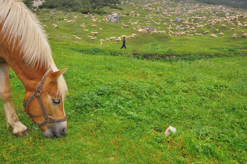 Altopiano di Asiago