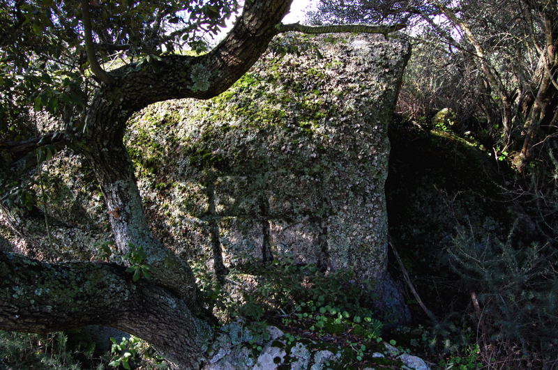 Area archeologico-sacrale di Santo Stefano - Oschiri (OT)