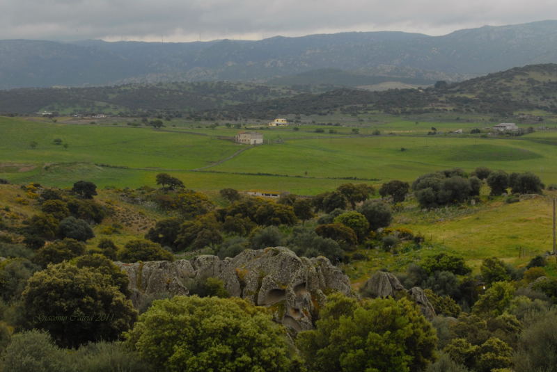 Area archeologico-sacrale di Santo Stefano - Oschiri (OT)