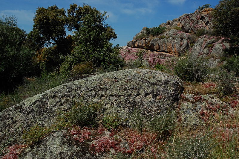 Area archeologico-sacrale di Santo Stefano - Oschiri (OT)