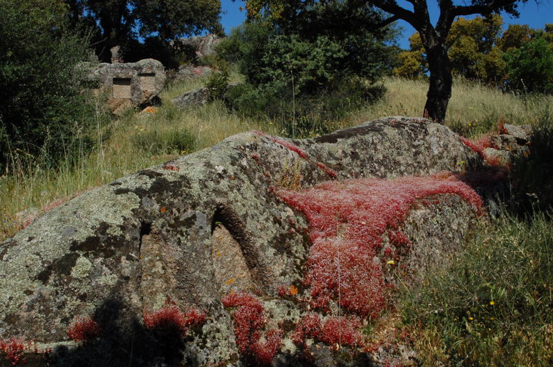 Area archeologico-sacrale di Santo Stefano - Oschiri (OT)