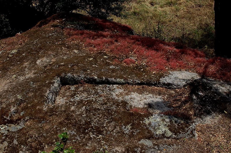 Area archeologico-sacrale di Santo Stefano - Oschiri (OT)