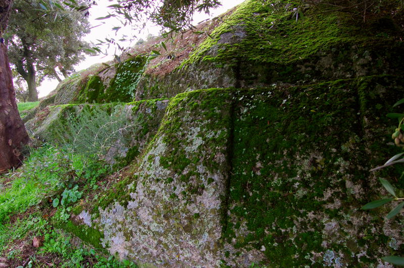 Area archeologico-sacrale di Santo Stefano - Oschiri (OT)