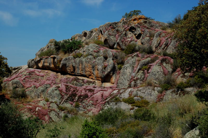 Area archeologico-sacrale di Santo Stefano - Oschiri (OT)