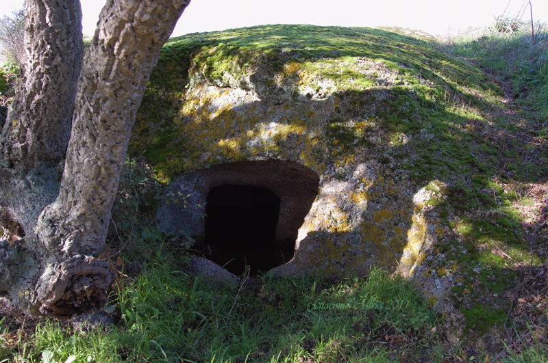 Area archeologico-sacrale di Santo Stefano - Oschiri (OT)