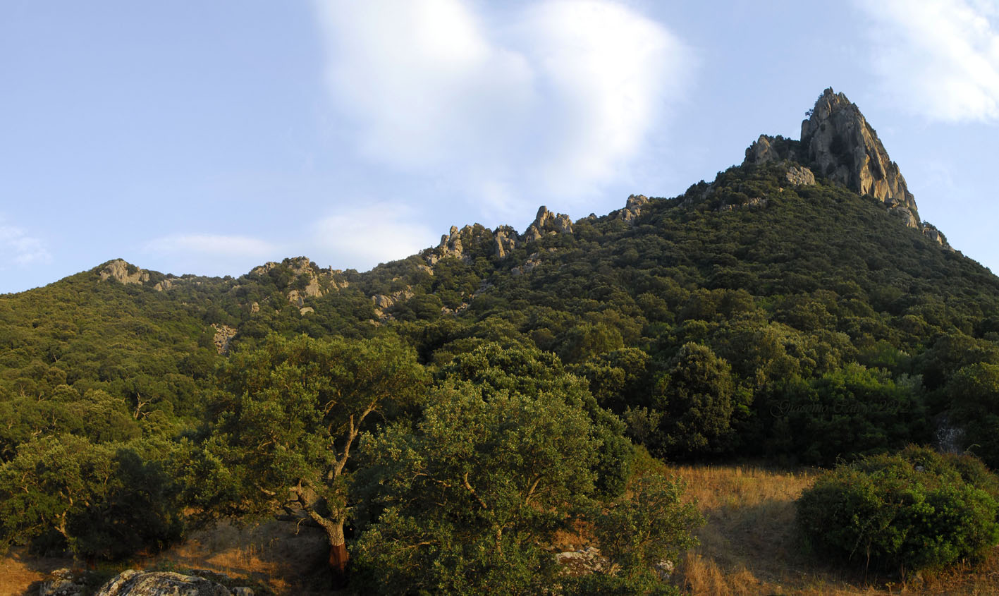 Monte Acuto - Sardegna (SS)