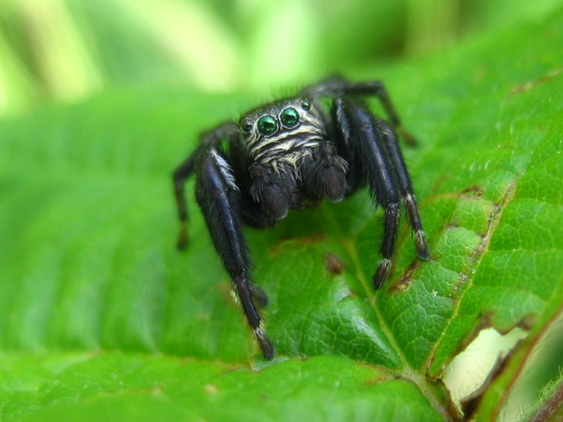 Da identificare (Miscellanea)