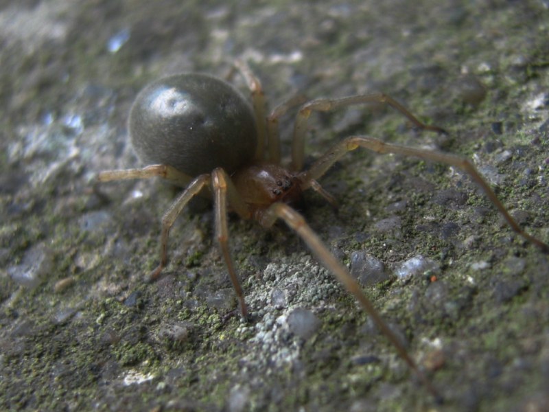 Da identificare (Miscellanea)