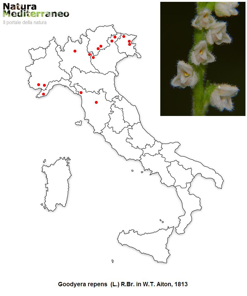 MAPPE DI DISTRIBUZIONE ORCHIDEE SPONTANEE - Prima parte