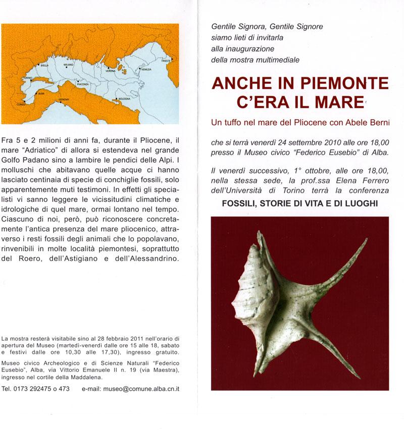 MOSTRA PALEONTOLOGICA: Anche in Piemonte c''era il mare