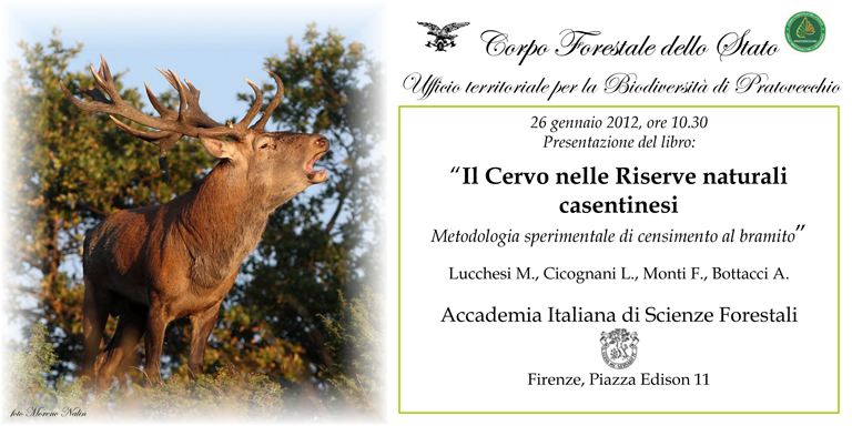 Pubblicazione: 