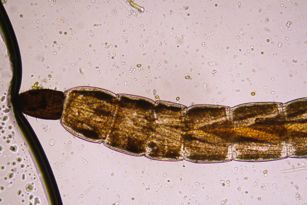 da una fontana pubblica....(seconda parte)