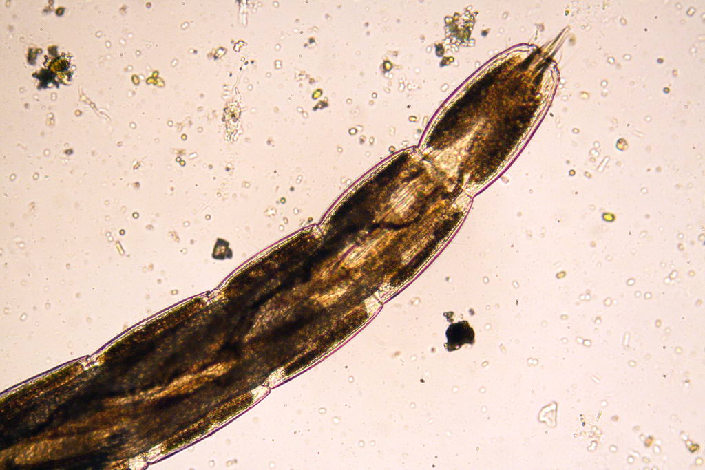 da una fontana pubblica....(seconda parte)