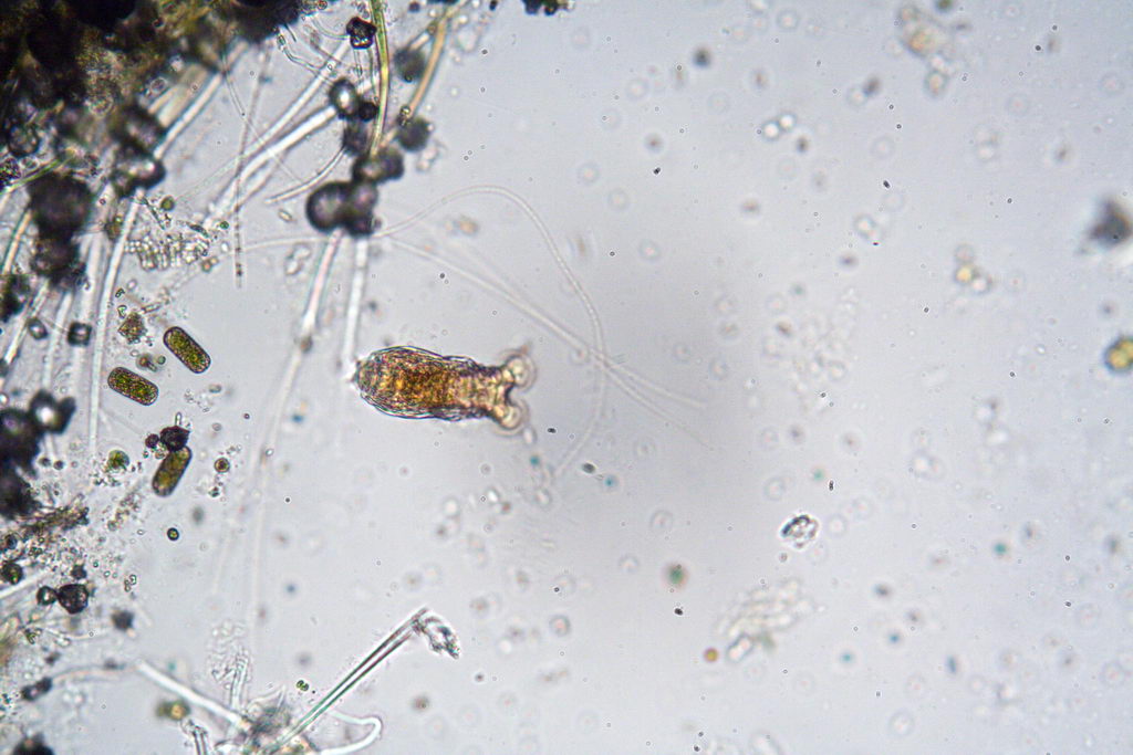 da una fontana pubblica....(seconda parte)