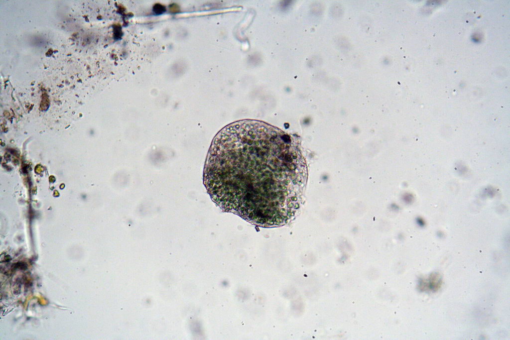 da una fontana pubblica....(seconda parte)