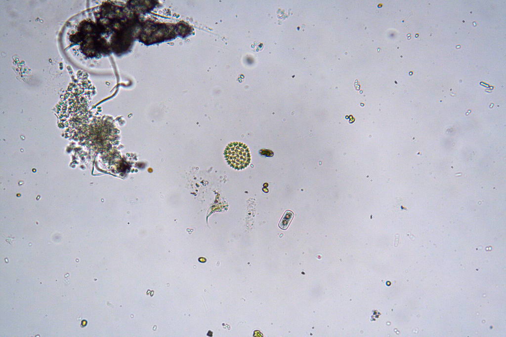 da una fontana pubblica....(seconda parte)