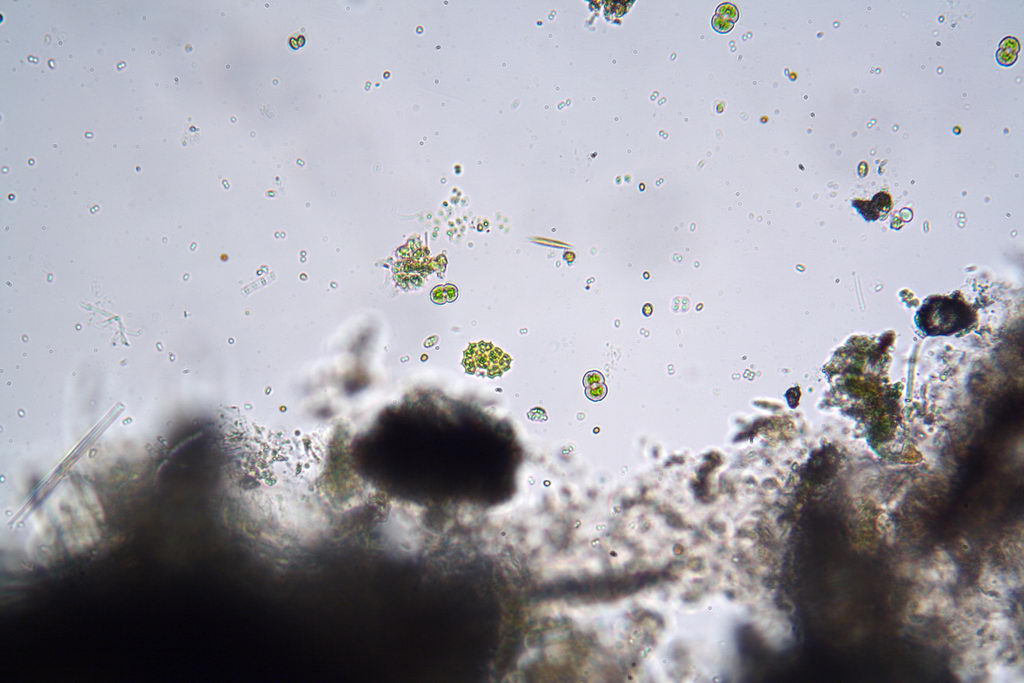 da una fontana pubblica....(seconda parte)