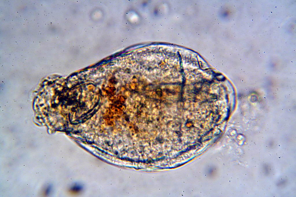 da una fontana pubblica....(seconda parte)